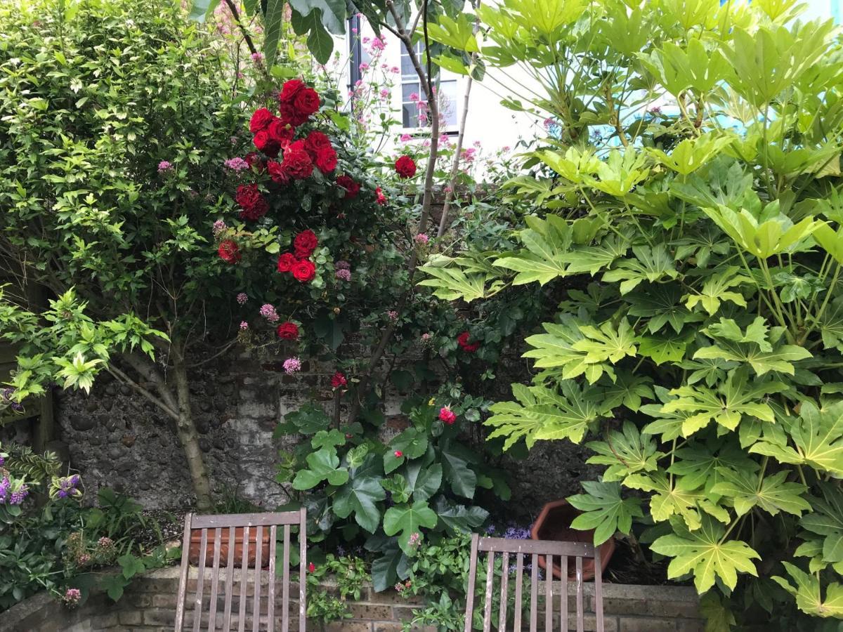 Amazing Apartment, Private Garden, Off Street Parking Brighton Exterior photo